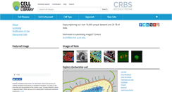 Desktop Screenshot of ccdb.ucsd.edu