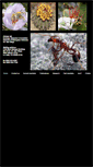 Mobile Screenshot of invasivespecies.ucsd.edu